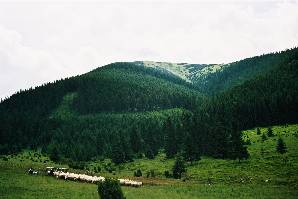 Montagne des Carpates