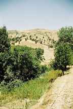 Plantation de cannabis dans le rif marocain