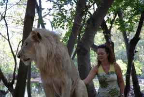 lions parc safaris adventures