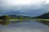 Photo marais de kaw en Guyane