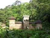 Photo : Château de bois coco en Guyane