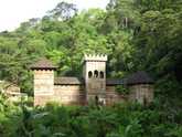 Photo : Chteau de bois coco en Guyane