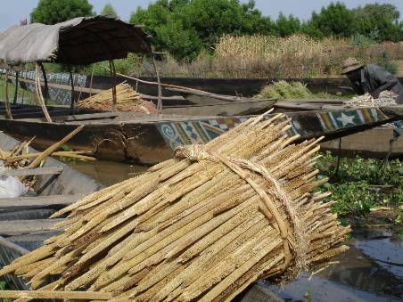 Pirogue au Niger